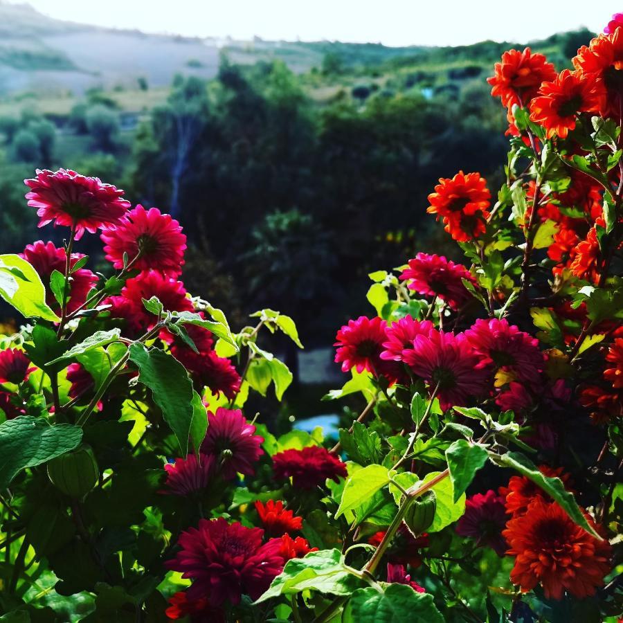 Calhariz Quinta Do Vale Encantado "The Valley" - Santarem - Portugal מראה חיצוני תמונה