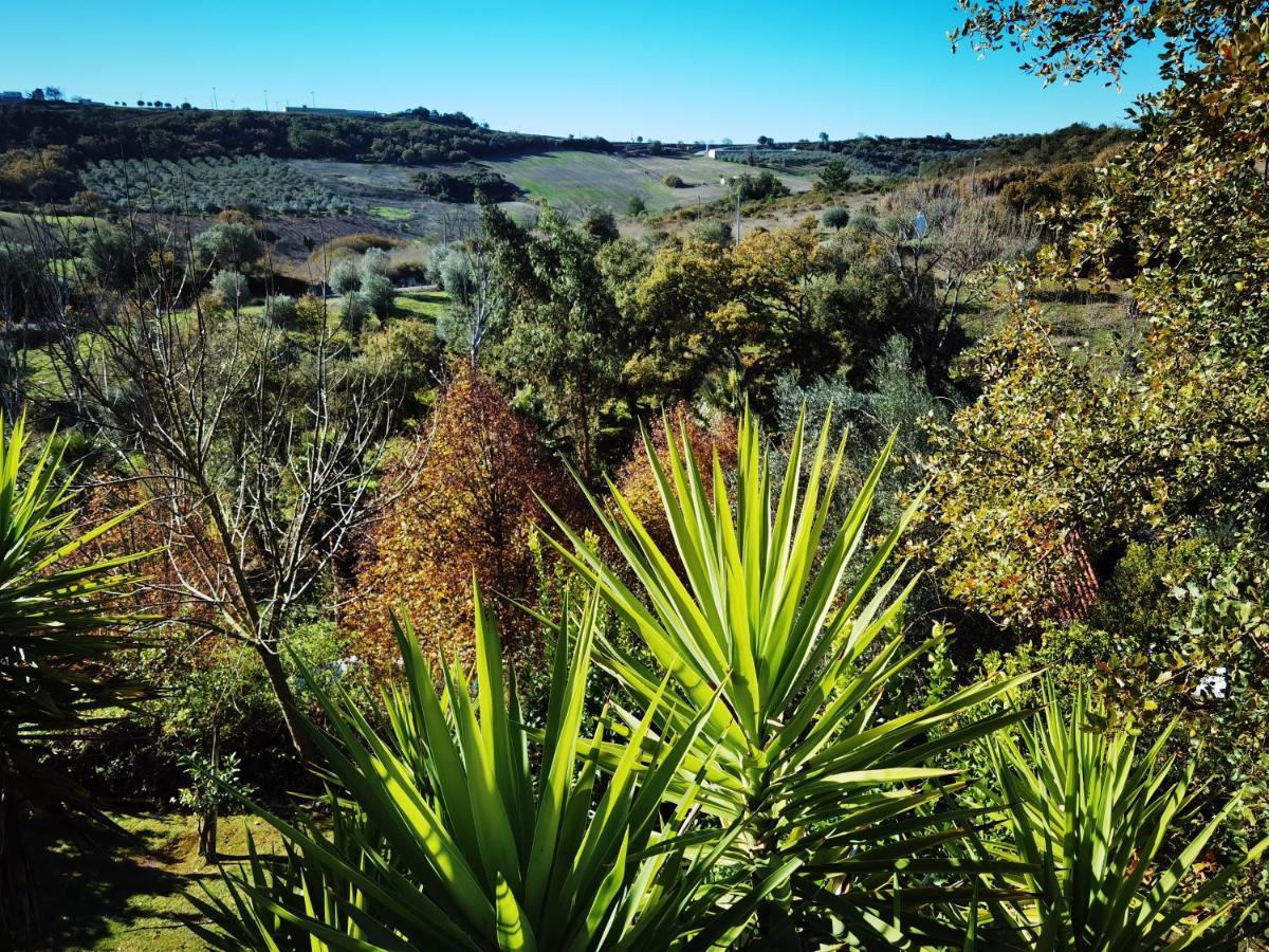 Calhariz Quinta Do Vale Encantado "The Valley" - Santarem - Portugal מראה חיצוני תמונה