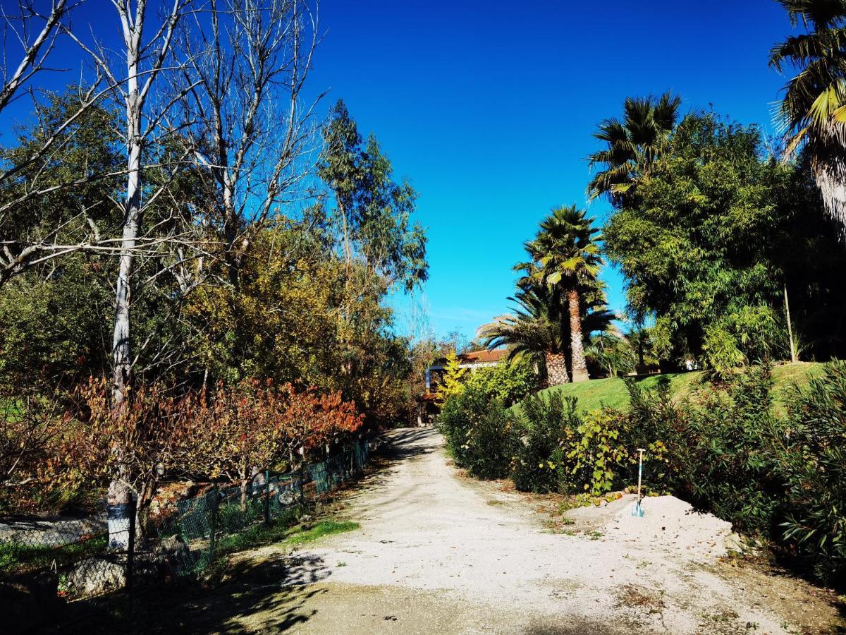 Calhariz Quinta Do Vale Encantado "The Valley" - Santarem - Portugal מראה חיצוני תמונה