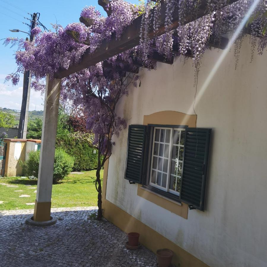 Calhariz Quinta Do Vale Encantado "The Valley" - Santarem - Portugal מראה חיצוני תמונה