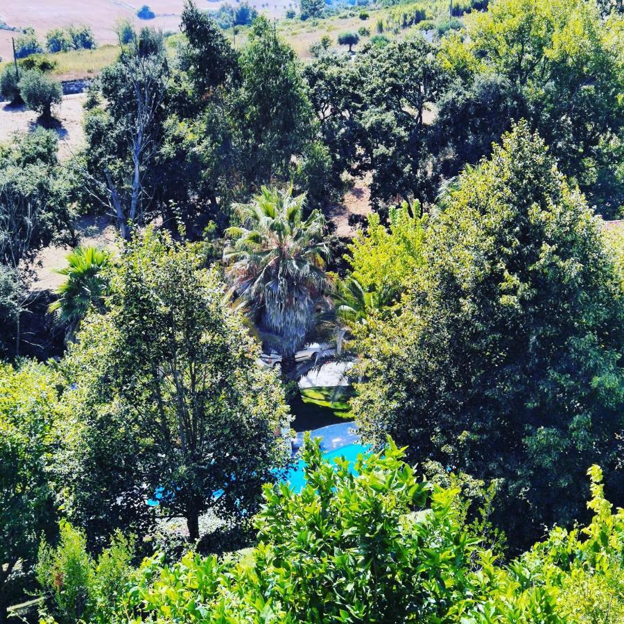 Calhariz Quinta Do Vale Encantado "The Valley" - Santarem - Portugal מראה חיצוני תמונה