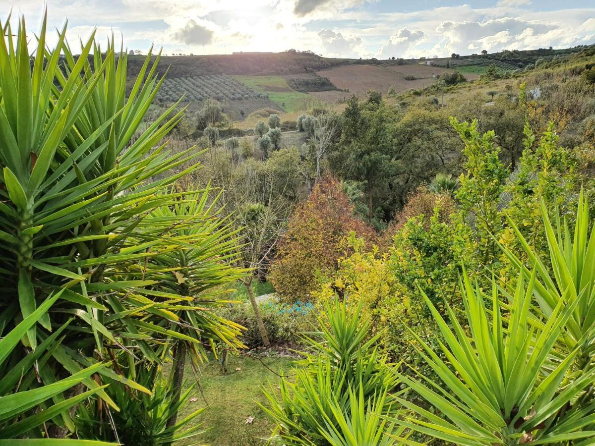 Calhariz Quinta Do Vale Encantado "The Valley" - Santarem - Portugal מראה חיצוני תמונה